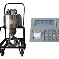 OCS-W5160��ӵ��^�� OCS-W5160 electronic hook scale
