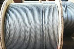 䓽z�K�����������ü�Ҫ������Щ��